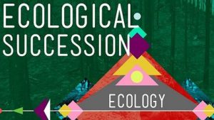 study of ecosystem ecology