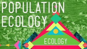 What is population Ecology