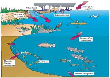 ecosystem type: Aquatic