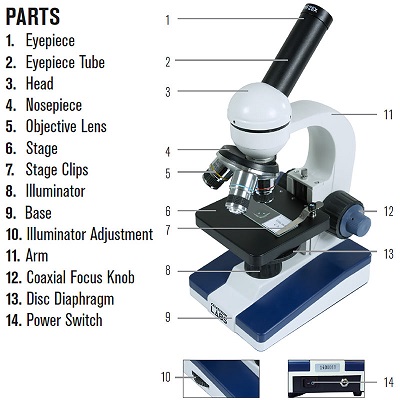 Compound microscope parts