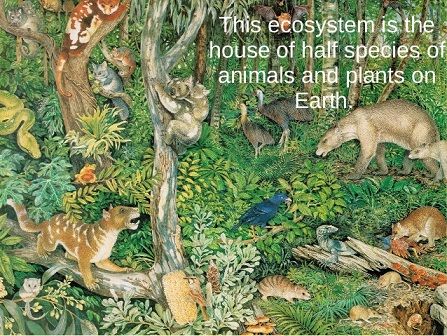earth ecosystem