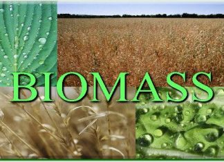 Definition of Biomass