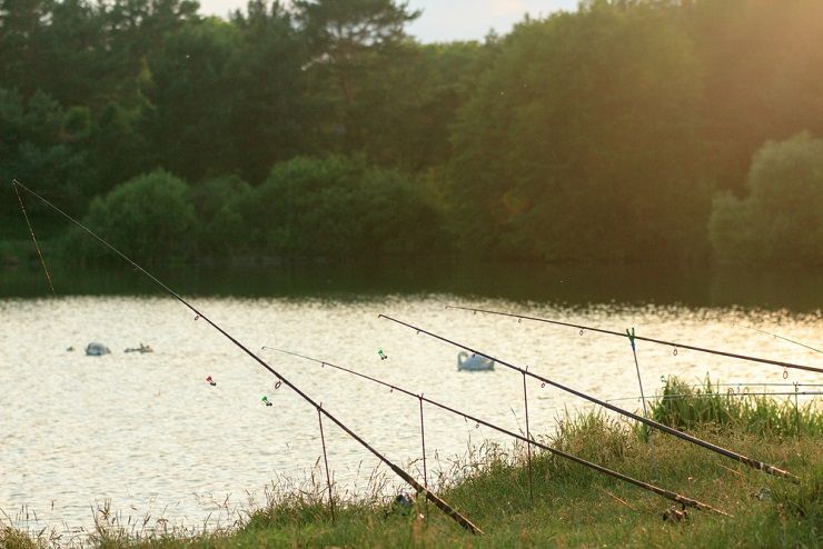 How to Choose the Right Fly Rod