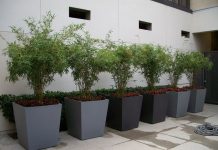 modern fiberglass planters