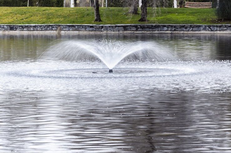 Add a Focal Point and More With a Fountain Pond Pump