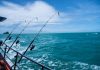 saltwater fishing rods reviews
