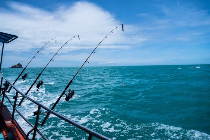 saltwater fishing rods reviews