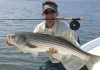 how to catch striped bass