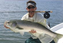 how to catch striped bass