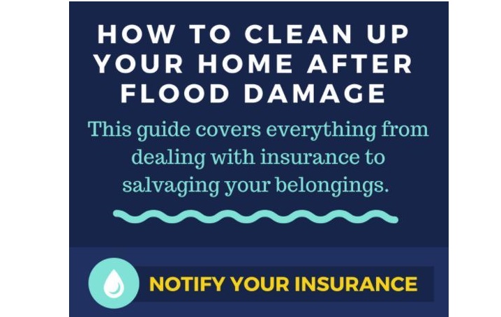 How to Clean Up Your Home After a Flood and Prevent Mold