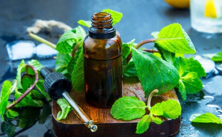 Does Peppermint Oil For Mice Really Work?