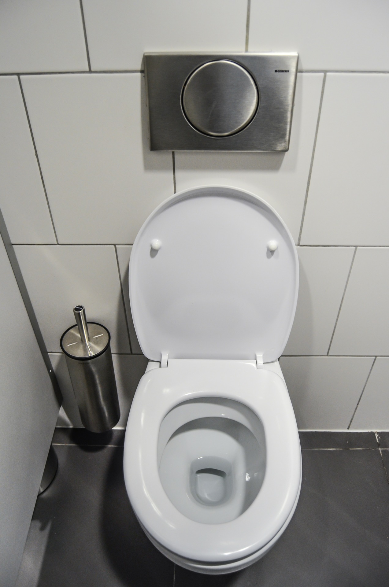 What’s the Best Composting Toilet? Top Nine Revealed